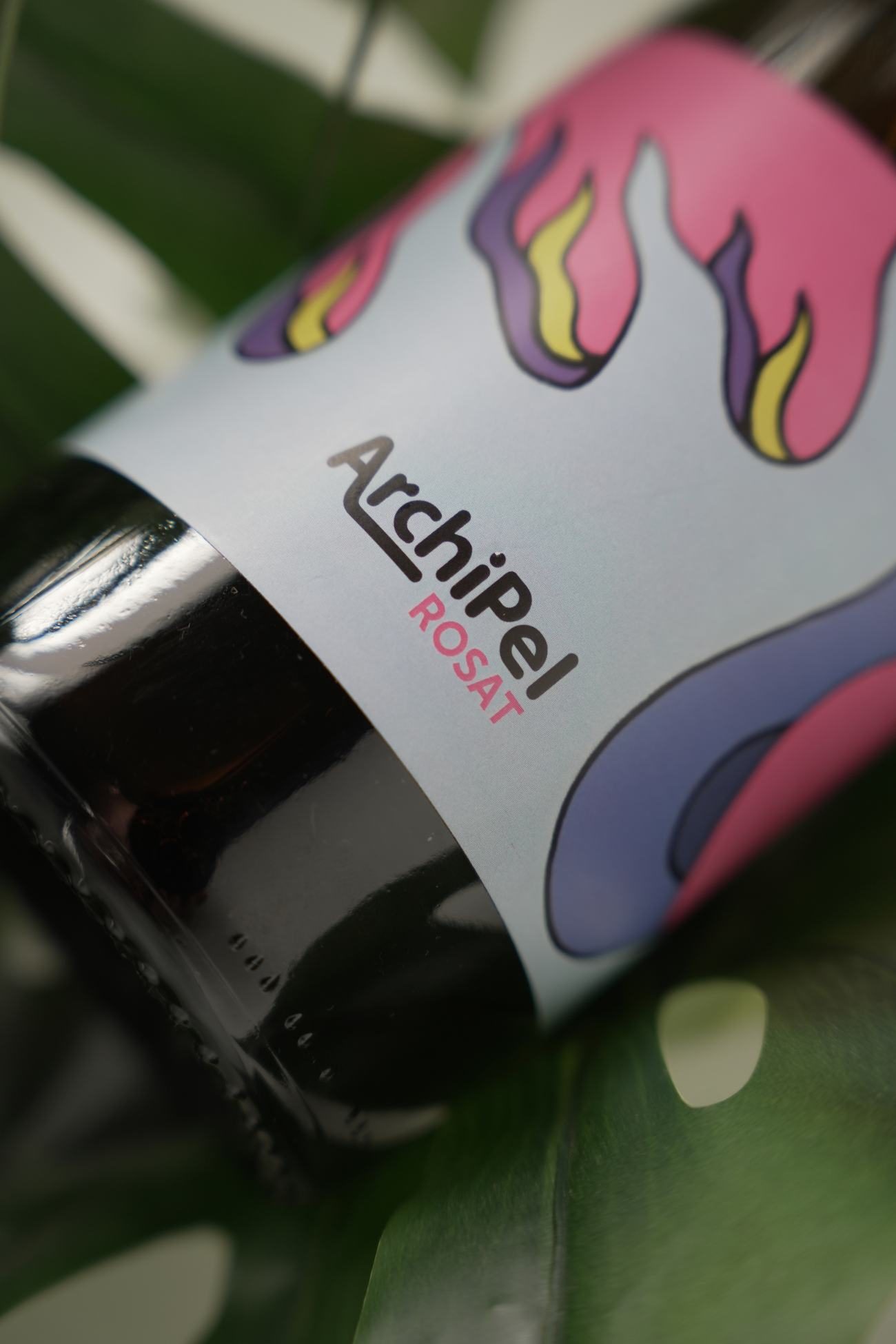 Mise en scène des produits Archipel Kombucha