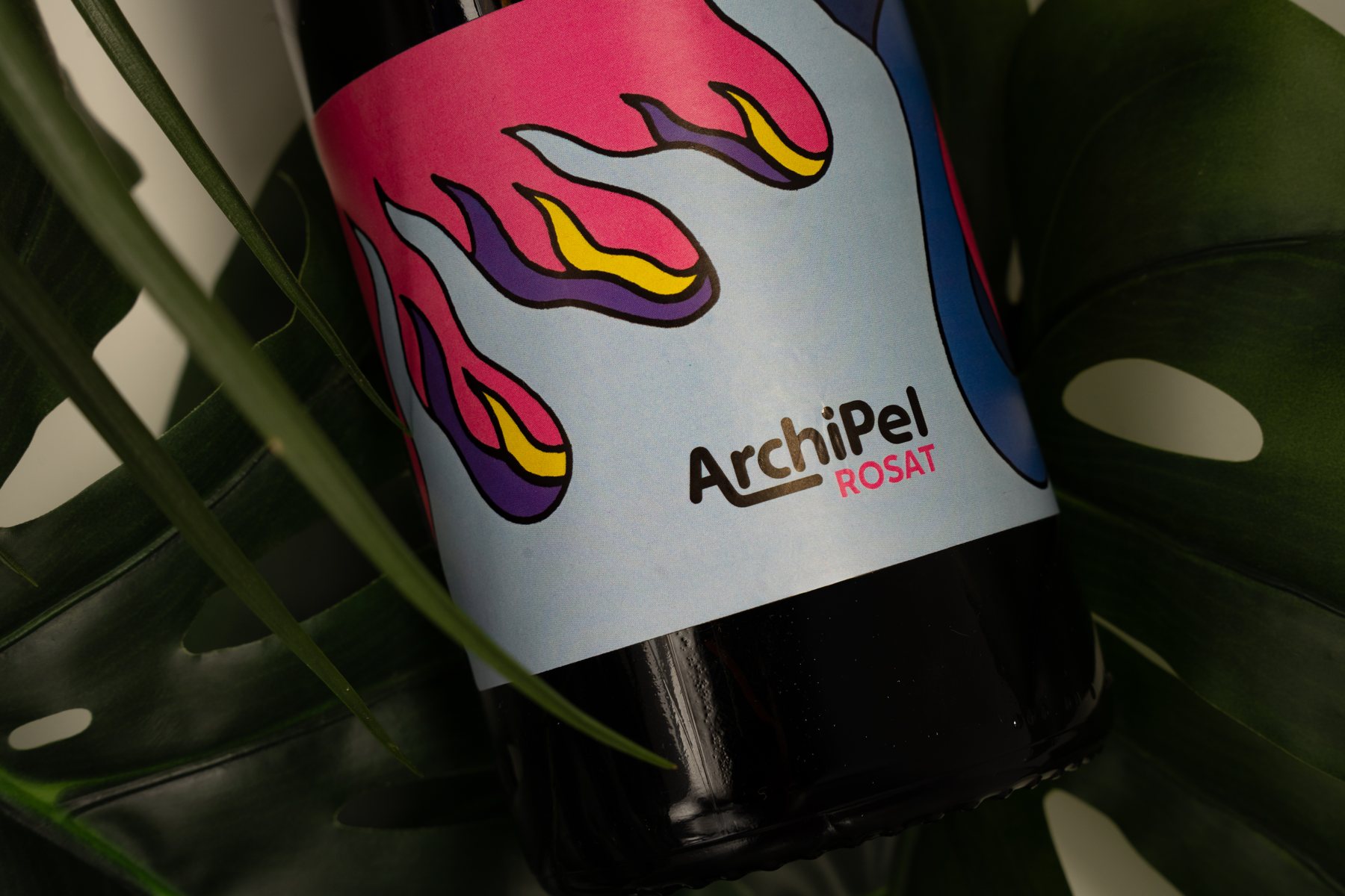 Archipel Rosat, monstera