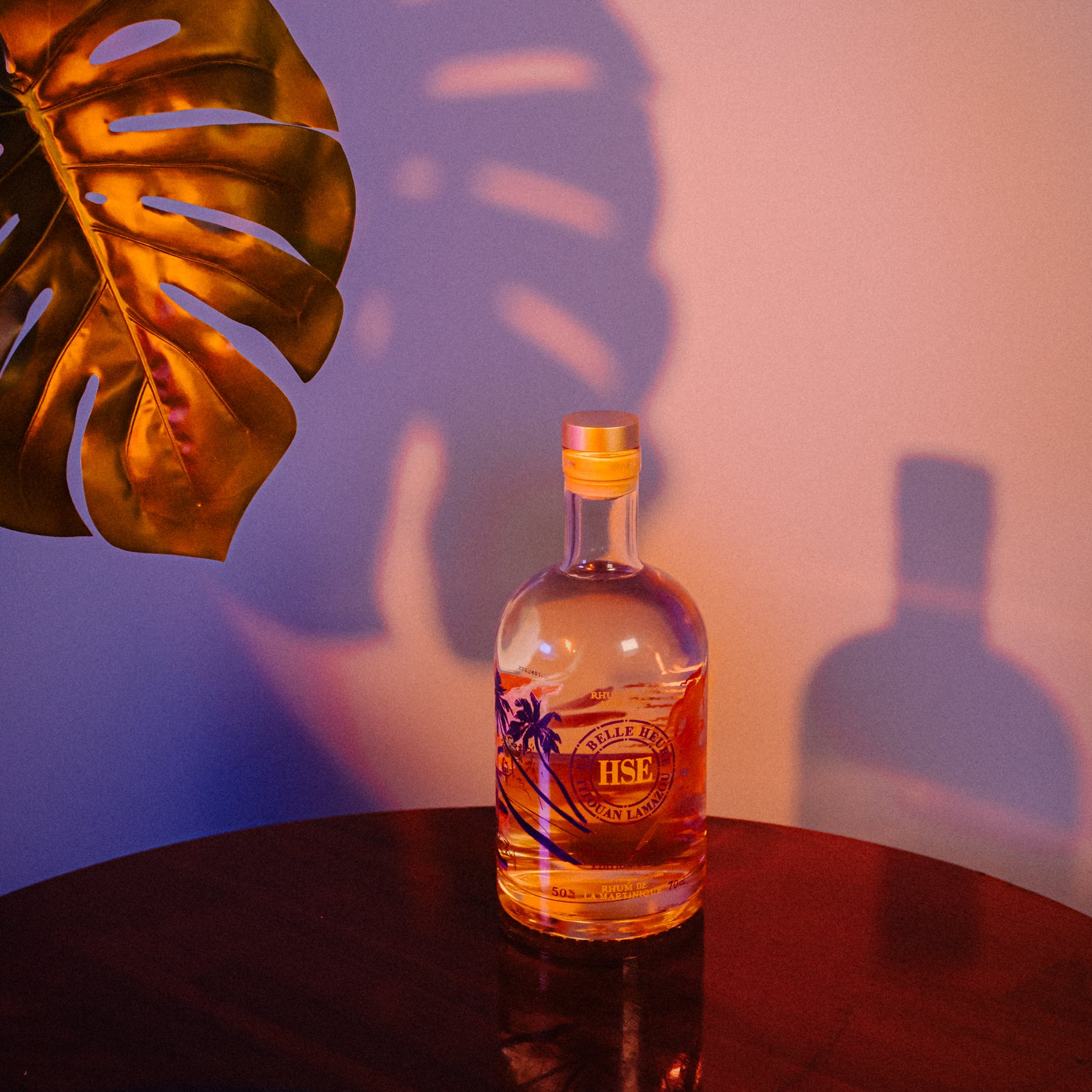 Bouteille et monstera