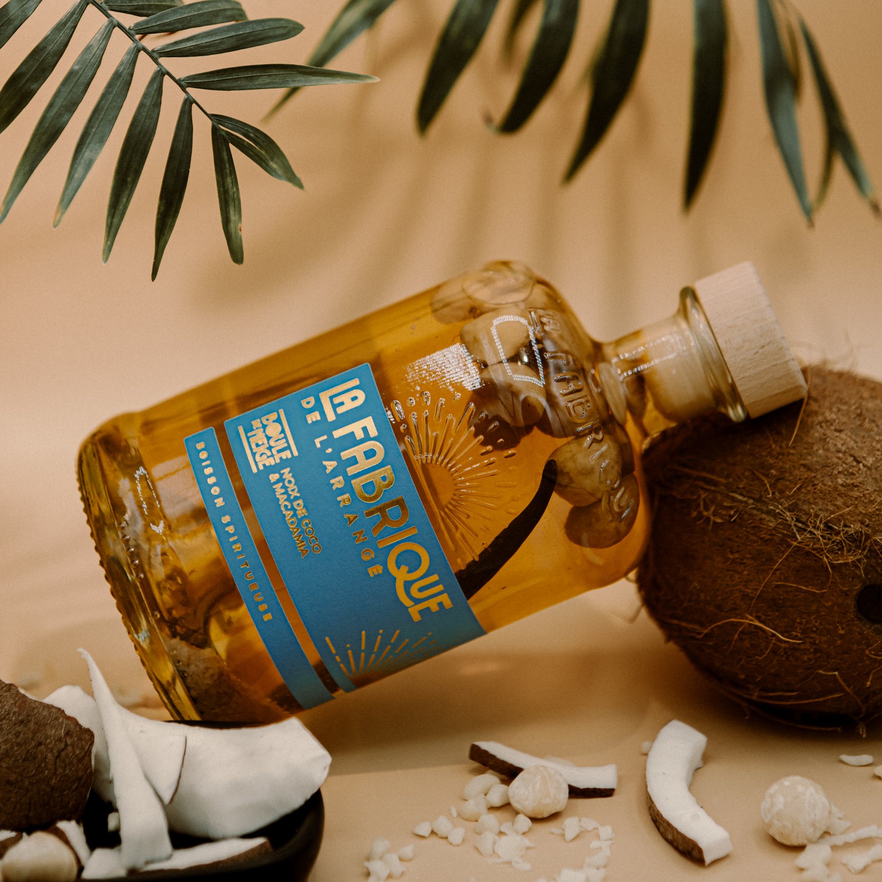 Coco, sous la palme