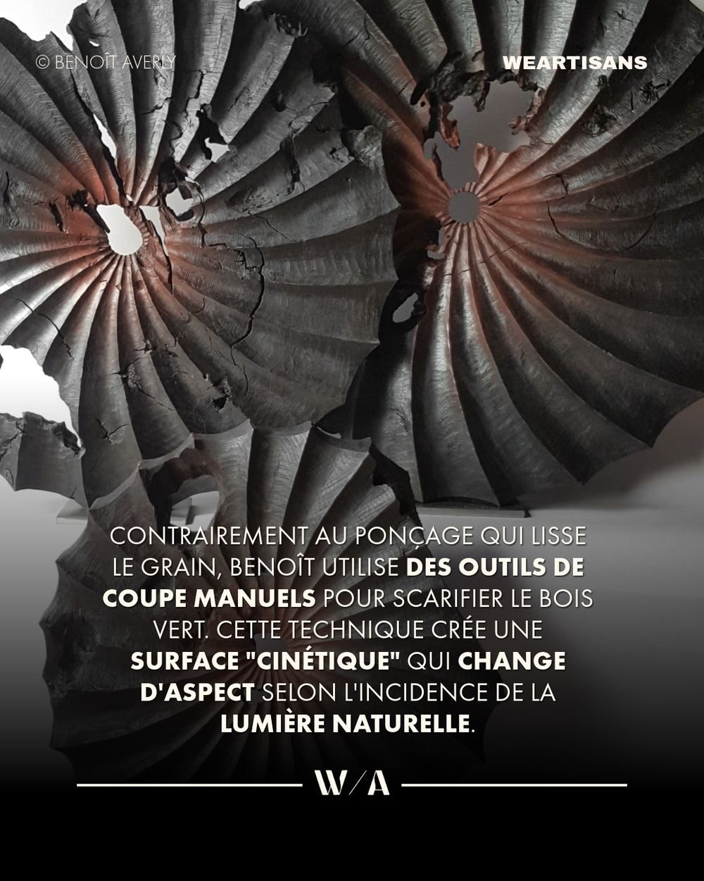 Atelier de bois, série We Artisans